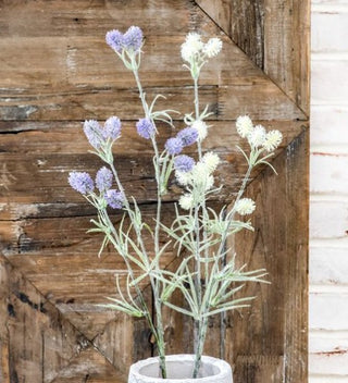 Puff Blossoms, Color Options
