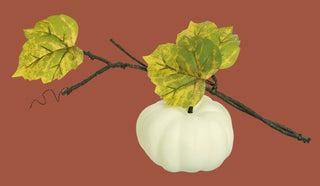 14" Cream Pumpkin Vine