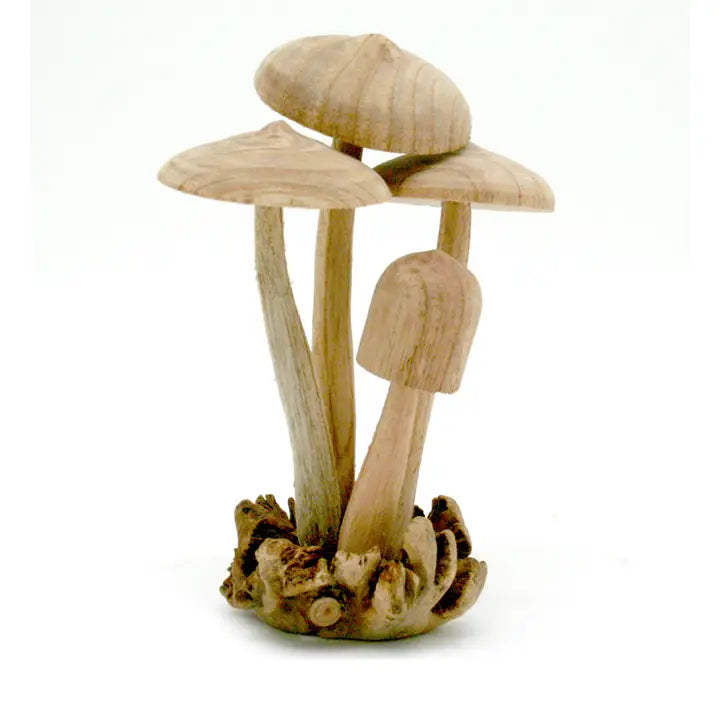 Four Wood Sprout Mushrooms On Parasite Wood