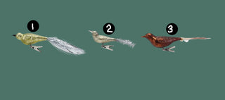 Trina Mercury Glass Bird Clip-on Ornament w/ Tinsel & Feathers, 3 Style Options