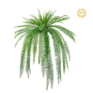 36" Boston Fern Bush UV Protected
