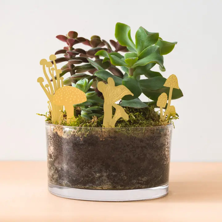 mushrooms in indoor potted plants Mini Mushrooms Brass, Plant Pot & Terrarium Decoration – Thenestedfig