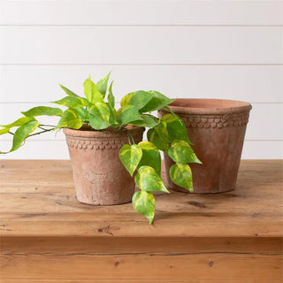 French Terracotta Planter, 2 Size Options