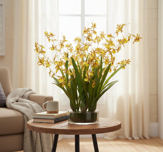 29" Oncidium Orchid Plant in Glass Vase