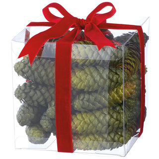 Set of 36 Box of Two Tone Pinecones