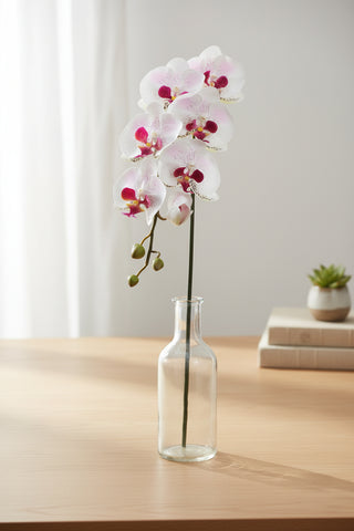 36" Cream & Mauve Phalaenopsis Orchid Spray