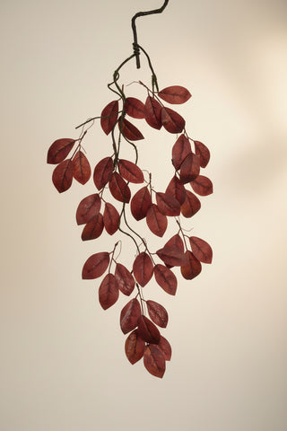 40" Burgundy Salal Leaf Hanging Spray