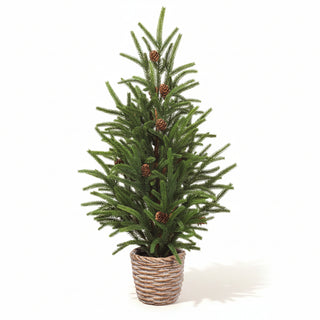 24" Pine Tree in Cement Pot