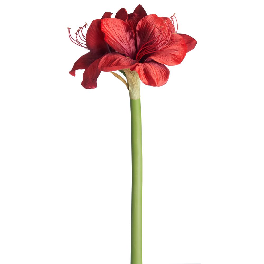 27" Amaryllis Spray, Red