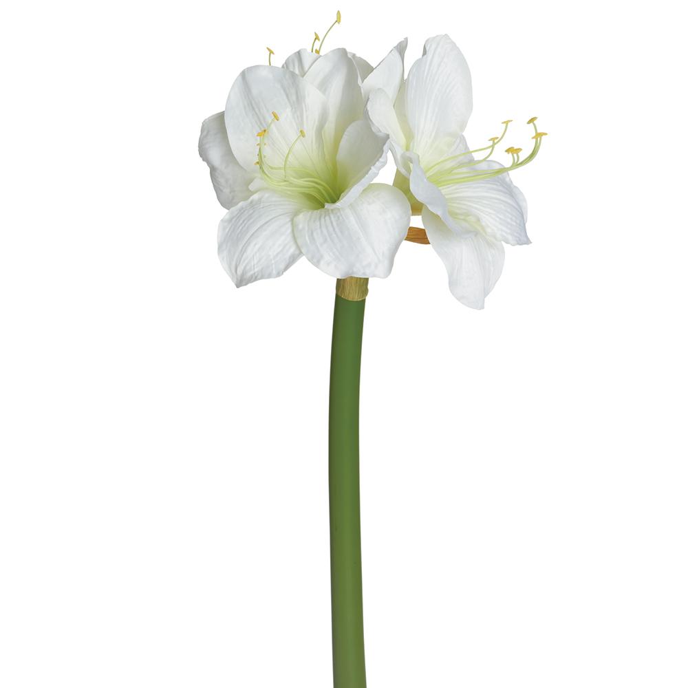 27" Amaryllis Spray Cream