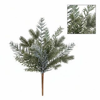 18" Mixed Spruce and Pine Bush