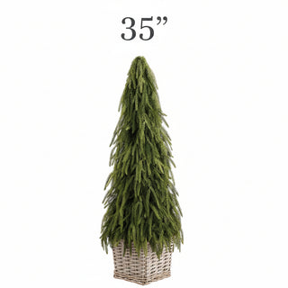 Cypress Cone Topiary in Basket , 2 Size Options