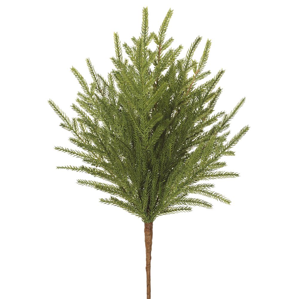 20" Norfolk Pine Spray