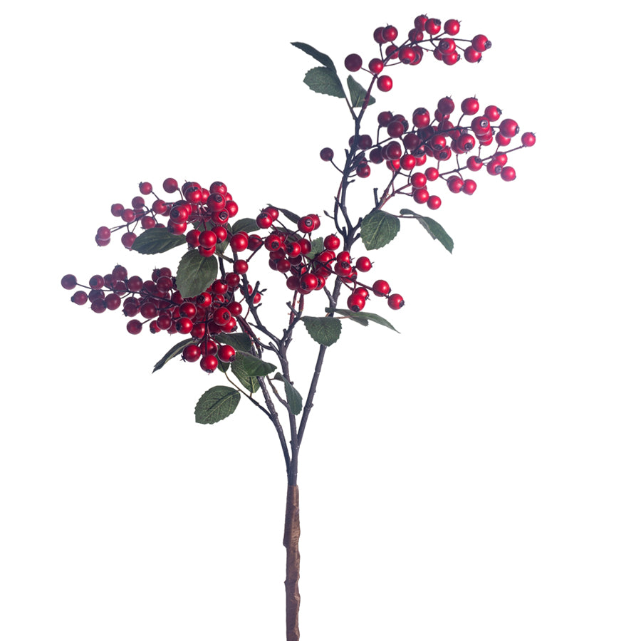 Gooseberry Bush, Matte Red