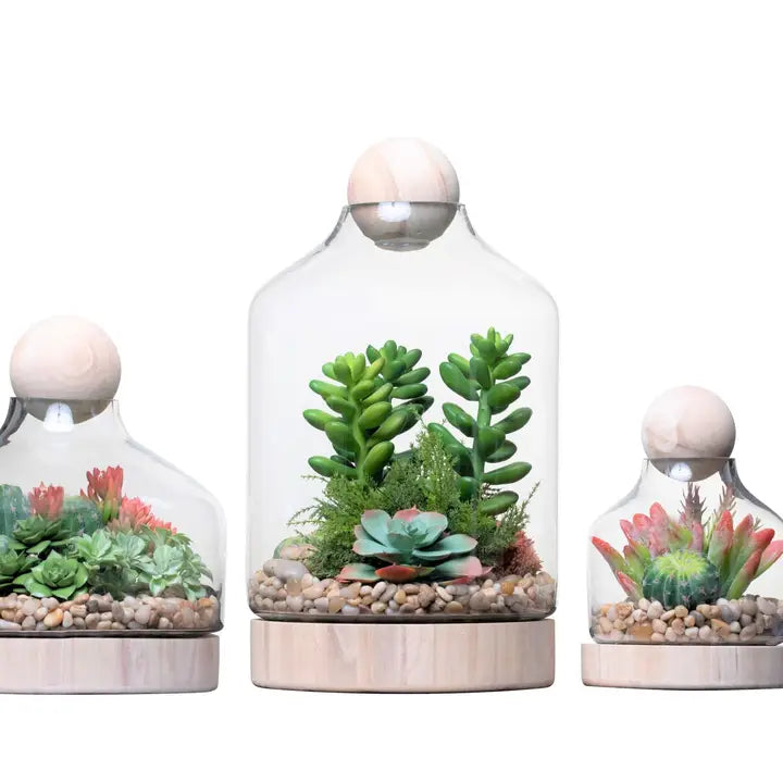 Chileno Terrarium with Wood Topper, Large