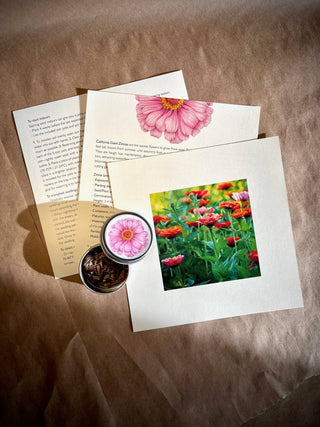 Flower Cutting Garden Gift Box