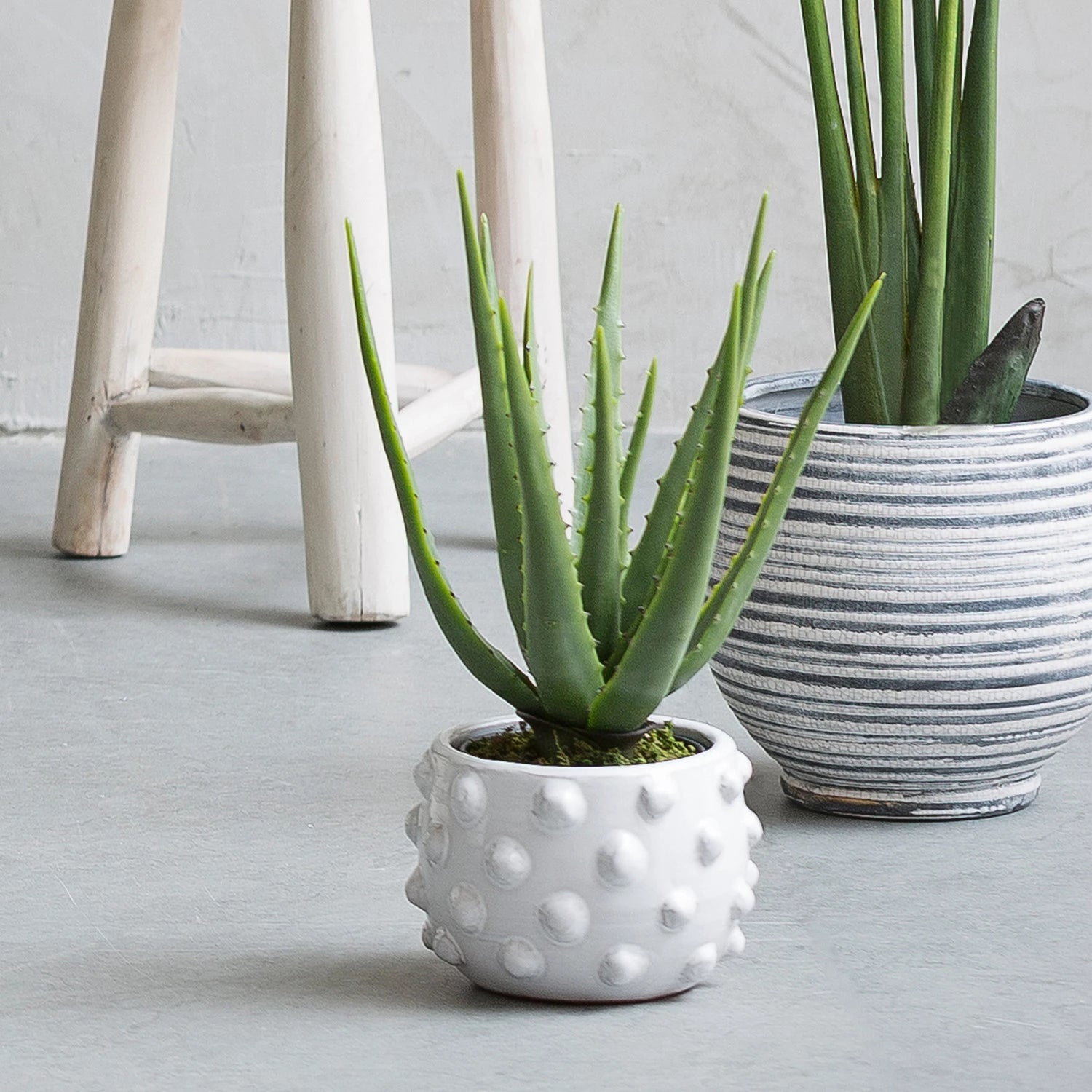 Terracotta Planter with Raised Dots