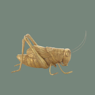 Gold Resin & Metal Cricket