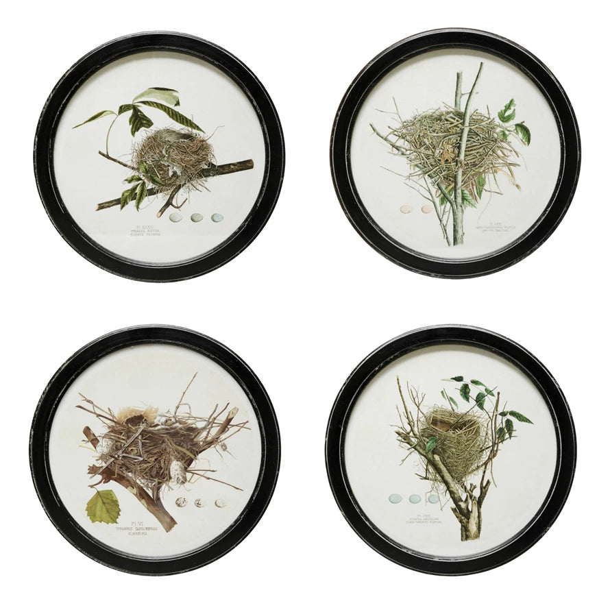 Framed Wall Decor with Nest Print, Style Options