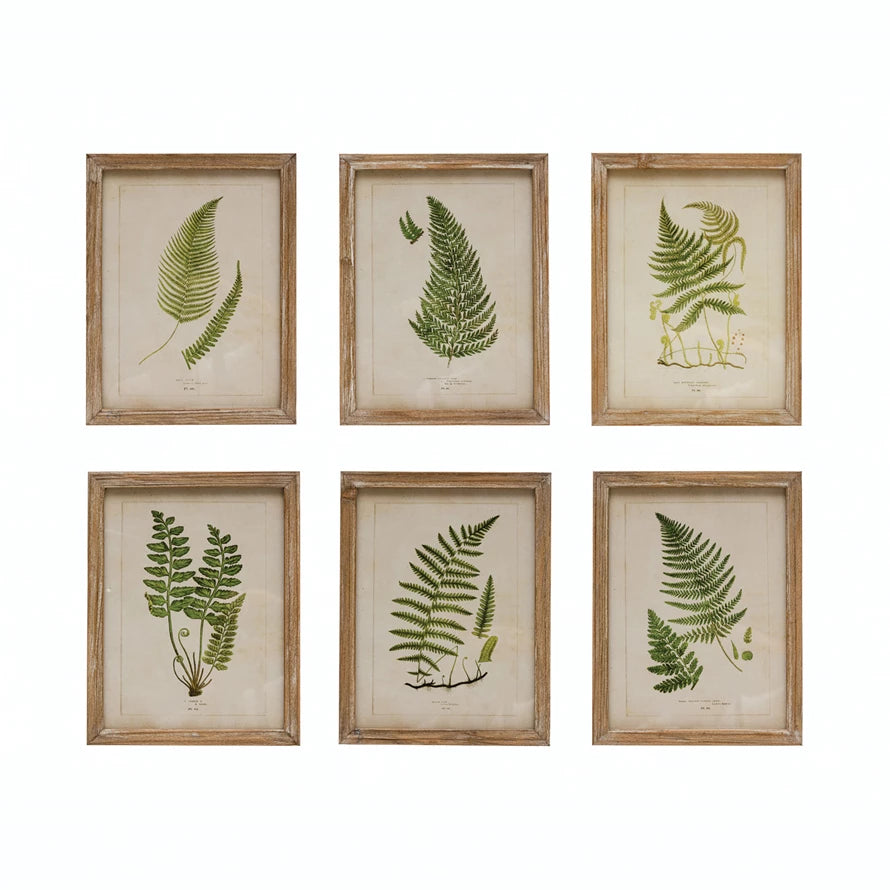 Wood Framed Glass Wall Décor with Fern Fronds Image, Six Styles