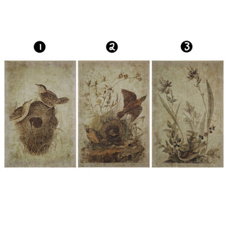 Reproduction Decorator Paper with Birds Image, 3 Style Options