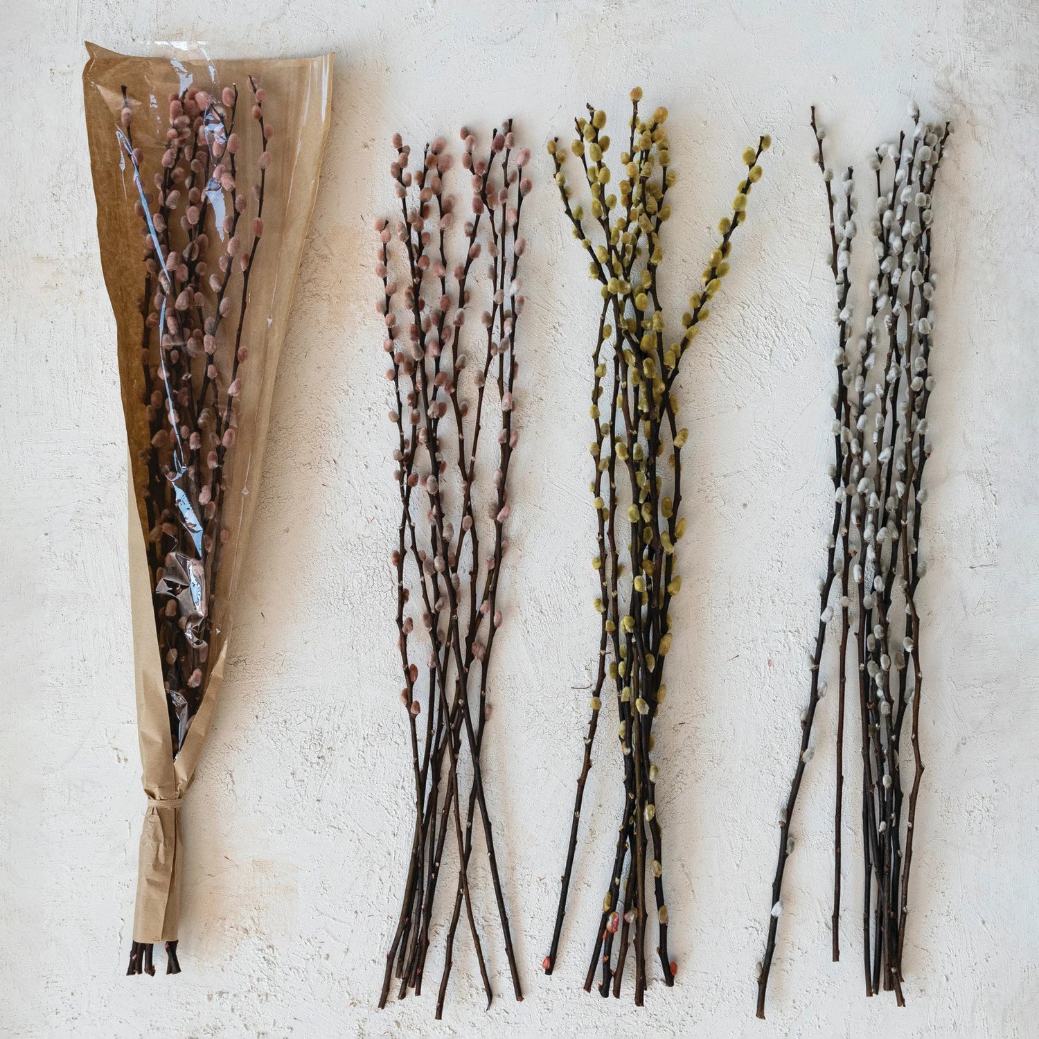 Dried Natural Pussy Willow Bunch, Color Options