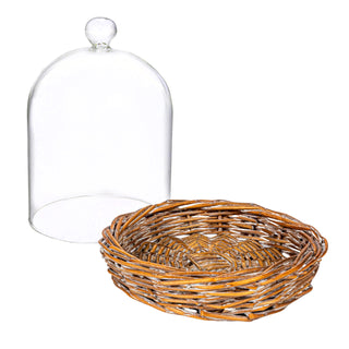 Decorative Glass Cloche w/ Willow Base