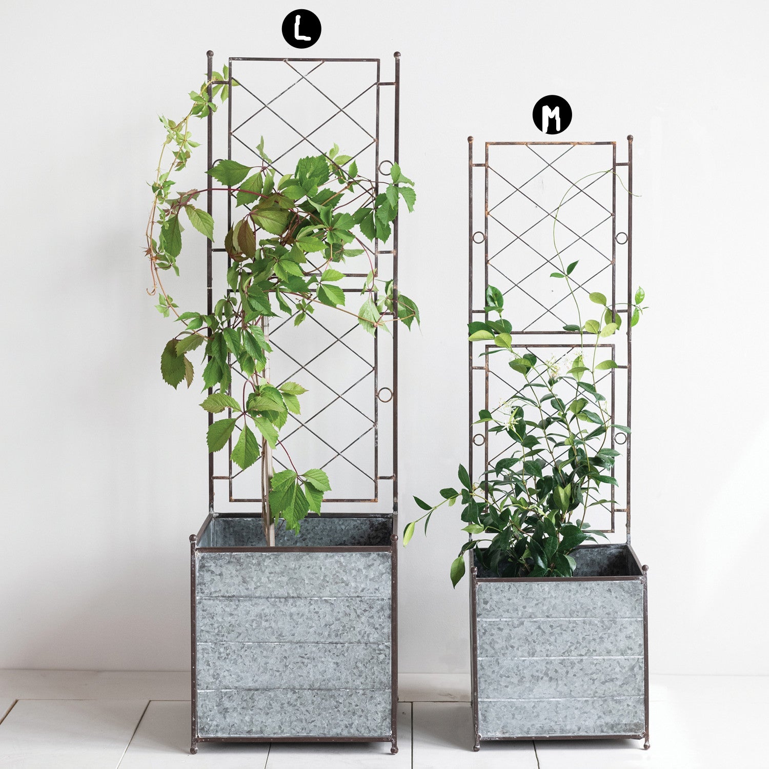 Pre Order Galvanized Metal Planter with Trellis, 2 Size Options