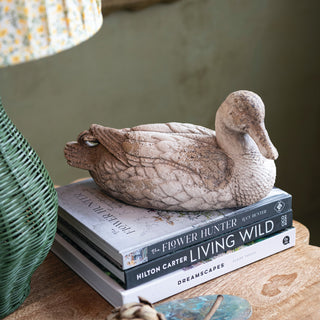 Heavily Distressed Resin Duck Decor