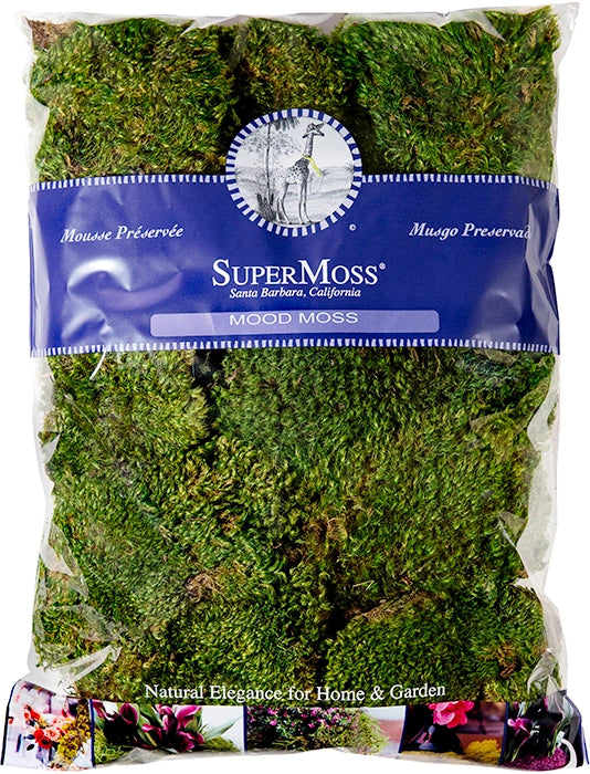 Mood Moss Preserved