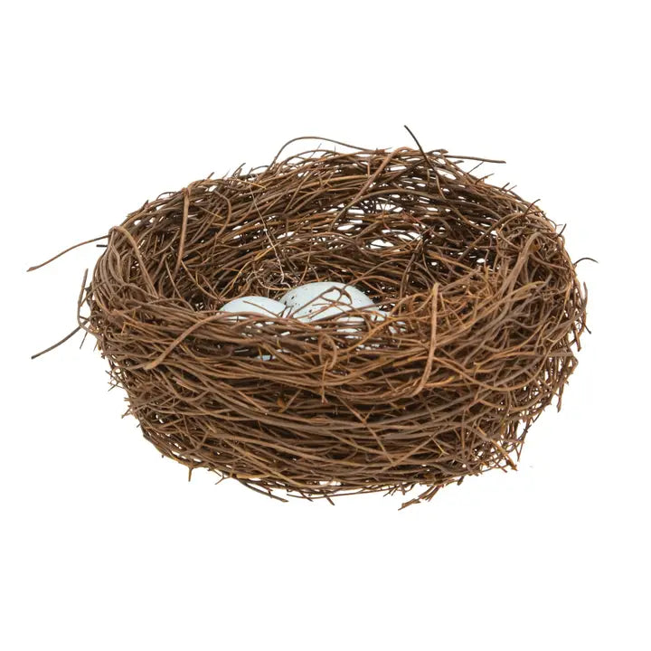 Vine Robin's Nest with Blue Eggs