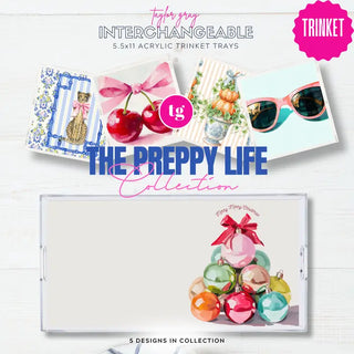 Pre Order 11" x 5.5" Blank Acrylic TRINKET Tray, 12 Insert Options