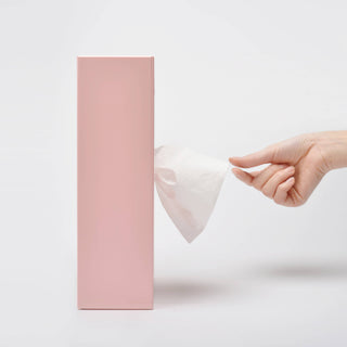 Flying Skirt Tissue Box, 2 Style Options