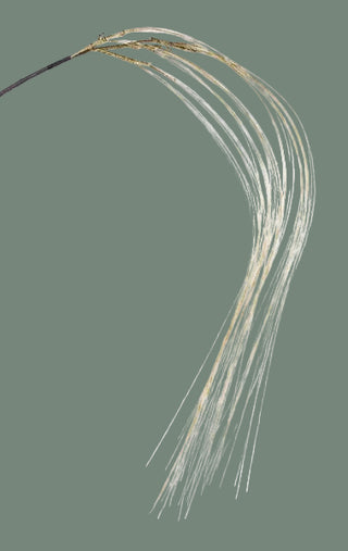 55"L Glitter Fishline Hanging Spray, 2 Color Options
