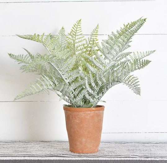 19" Fern in Pot