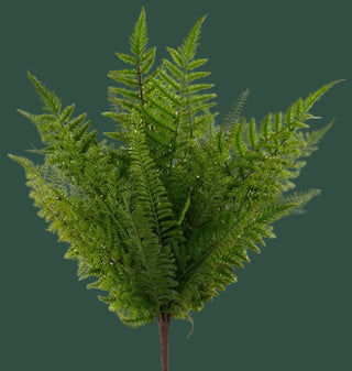 23"L Fern Bush