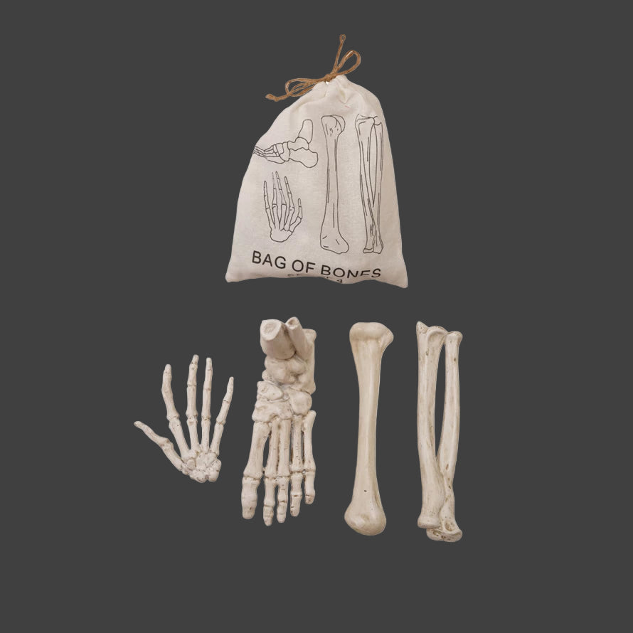 Resin Bag of Bones