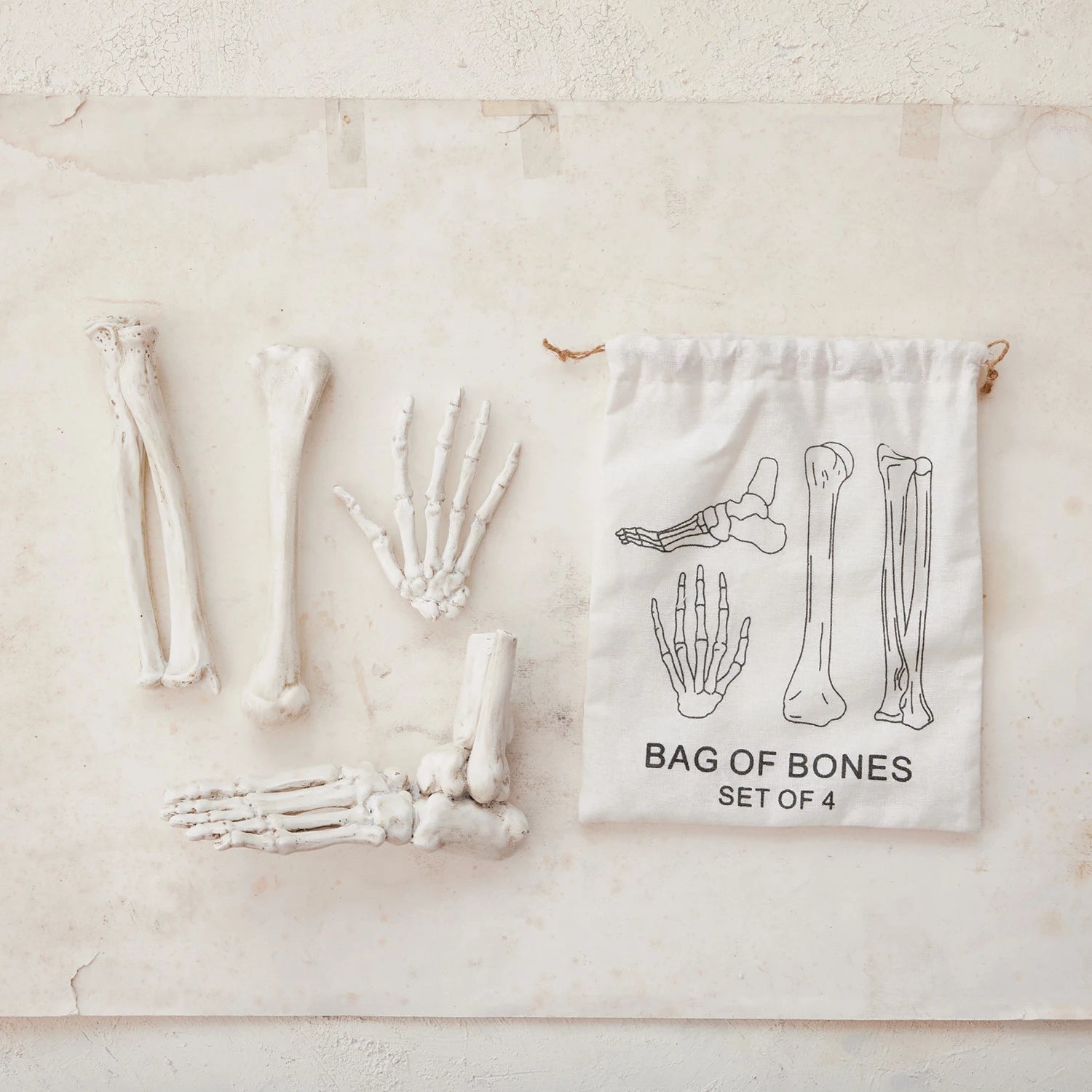 Resin Bag of Bones