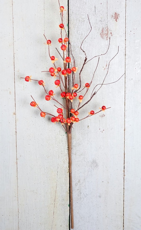 23" Twiggy Podka Bittersweet Bush