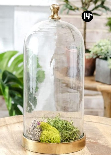 Glass Cloche with Gold Base, 3 Size Options