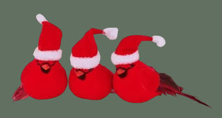 Set of 12 4"L Red Cardinal with Santa Hat w/Clip