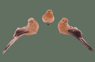 Set of 12 Bird on Clip, 2 Color Options