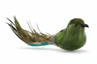 Charming Green Bird w/ Long Tail & Clip Attachment