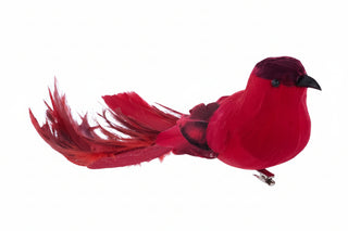 Red Bird w/ long tail & Clip Attachment