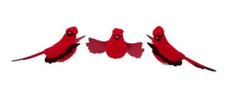 Set of 12 4.75" Velvet Cardinal on Clip