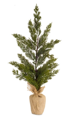 Mini Pine Tree, Size Options