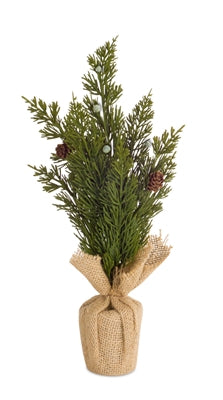 Mini Pine Tree, Size Options