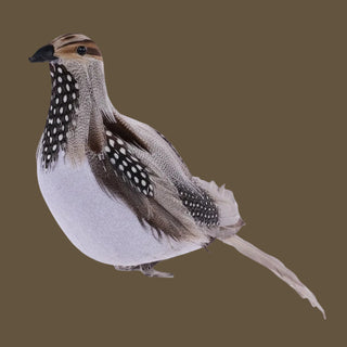 Feather Quail with Clip