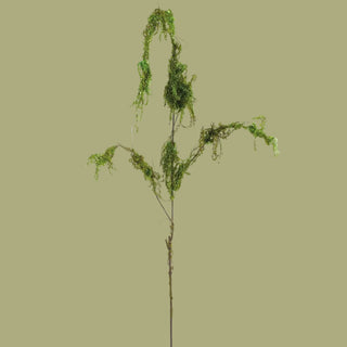 55" Moss Hanging Moss Spray