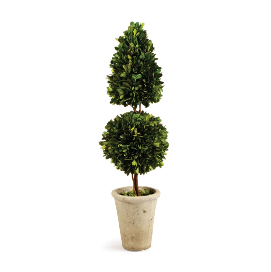 Boxwood Cone and Ball Topiary